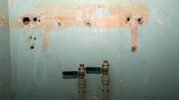 Best Flooded house restoration  in Council Grove, KS
